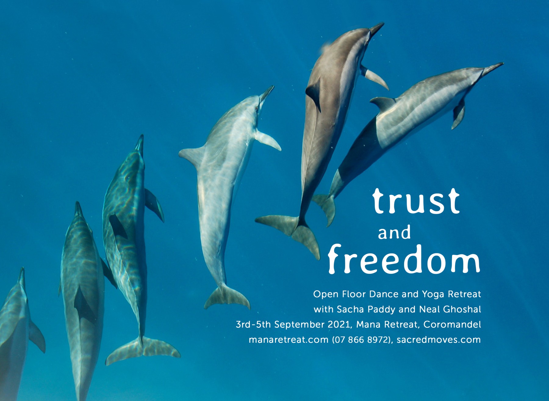 Trust and Freedom with Sacha Paddy and Neal Ghoshal